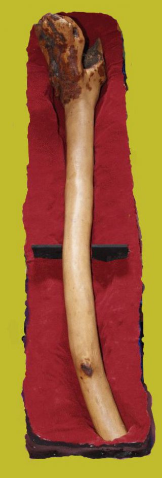 Didgeridookoffer (Auftragsarbeit)\nverschiedene Materialien\nBemalung Acryl